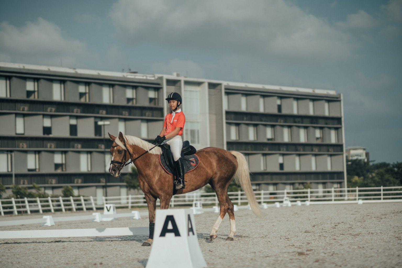 Equestrian